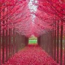 주식회사 늘바른 이미지