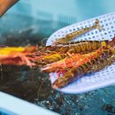 한국주방산업 앞 교통섬 | 일본에서 <북한>이라 불리는 섬 <히메시마>