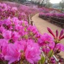 맘사랑 - 당진시 | 맘사랑