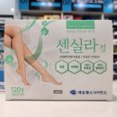 산본제일약국