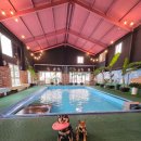 이문43 | 김포 애견카페 추천 🐾 수영장부터 드라이룸까지 완비된 &lt;김포 DOG힐링파크&gt; 방문 후기!