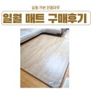 &lt;내돈내산&gt;일월 카본더마루 온열매트 구매후기