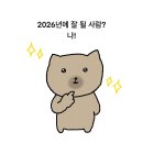 다가오는 26년 꼭 이루고 싶은 소망 세 개만 적고 튀는 달글 이미지
