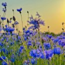 이규선경희한의원 이미지