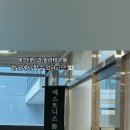 에스트니스화월
