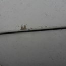 신세계부분정비공업사 이미지