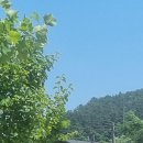 양평목장 이미지