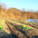 천마농장 이미지