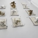 프릿토핏 이미지