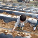 건호농장 이미지