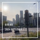 장미주공아파트 | [훨훨 임장챌린지 시즌7] 송파구 잠실(엘리트레파, 진미크, 잠실주공5단지, 장미아파트) 임장 후기