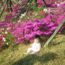 왕바위공원 이미지