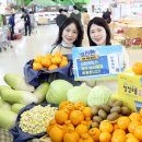신한마트 파이낸셜뉴스