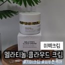 디퍼앤디퍼 | 기미 피부톤 케어 미백크림 디퍼앤디퍼 멜라티놀 클라우드 크림 후기