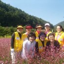 한마음환경 이미지