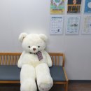 탄탄한도약학원