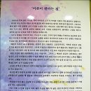 이와사키 치히로전-경북대 미술관(11.8~12.10) 이미지