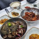 독도노래연습장 이미지