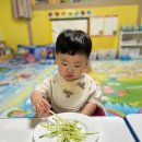스콜라몬테소리 이미지