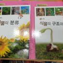 브레인리더스쿨 이미지