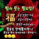 행복한하루 이미지