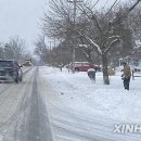 Snow County 이미지