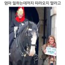 천안 아이롱펌 잘하는 불당동 미용실 청담아르떼