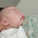 꼬마족발아빠왕족발(인하족뱅이) | 토끼잠이 싫어요🫠