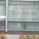땅콩 동물병원 이미지