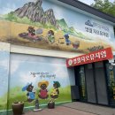 영월지오뮤지엄 이미지