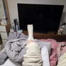 가좌정형외과의원 이미지