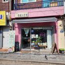 보라매동-31 | 보라매카페 📍카페시즈📍 에서 남성역 카페 반려동물 동반 가능 카페 📍달의둥지📍(나름 재방문) 까지