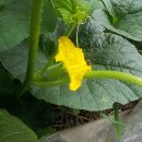 무성농장 이미지