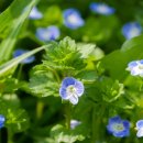 명가농장 이미지