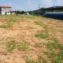 대현2호 이미지