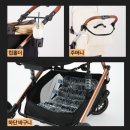 일체형 강아지 유모차 가르르 유모차 도기로버 골드 개모차 내돈내산 후기 추천.