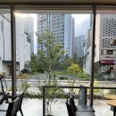 할리스 일광신도시점 이미지