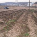 고은농장 이미지