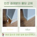 만수5동-4 | 인천 계양구 걸레받이 몰딩 교체, 강아지가?