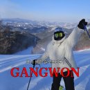 제일카프라자 | 1년차 초보의 레인보우 파라다이스 후기: 난이도, 경사, 케이블카 대기시간 + 모나 용평 중급 슬로프...