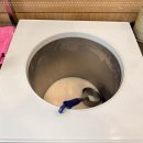 황금코다리 소룡점 이미지