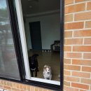 개멍물멍 이미지