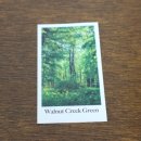 그린목욕탕 | 무신사 1위 비비앙 월넛크릭그린 🌿 한가인 향수로 유명한 숲향 바디미스트 후기