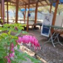 아호동농장 이미지