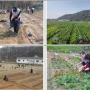 서울 2농장 이미지