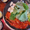 쭈꾸미도사 티스토리