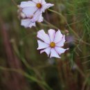 원전 약수터 이미지