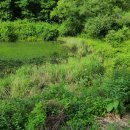 합천효심푸드 이미지