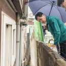 양천 이미지