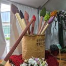 거창-거창-1 | [거창 여행] 비 오는 날의 운치 가득, '거창 창포원' 산책 후기(드론영상)